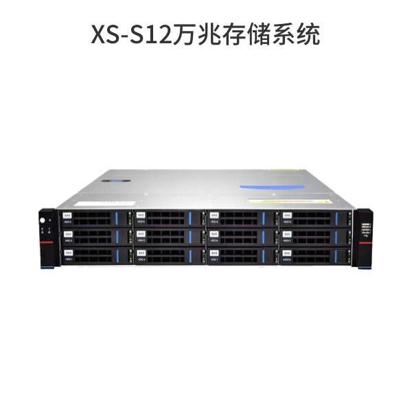 XS-S12萬兆存儲系統